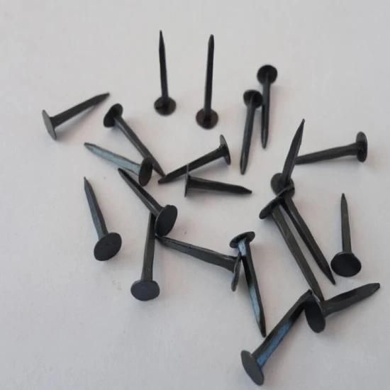 Good Price and Great Quality Sharp Point Blue Shoe Nail/Shoe Tacks/for Africa Market Good Quality and Cheap Price with ISO9001 Approved 3/8′ ′