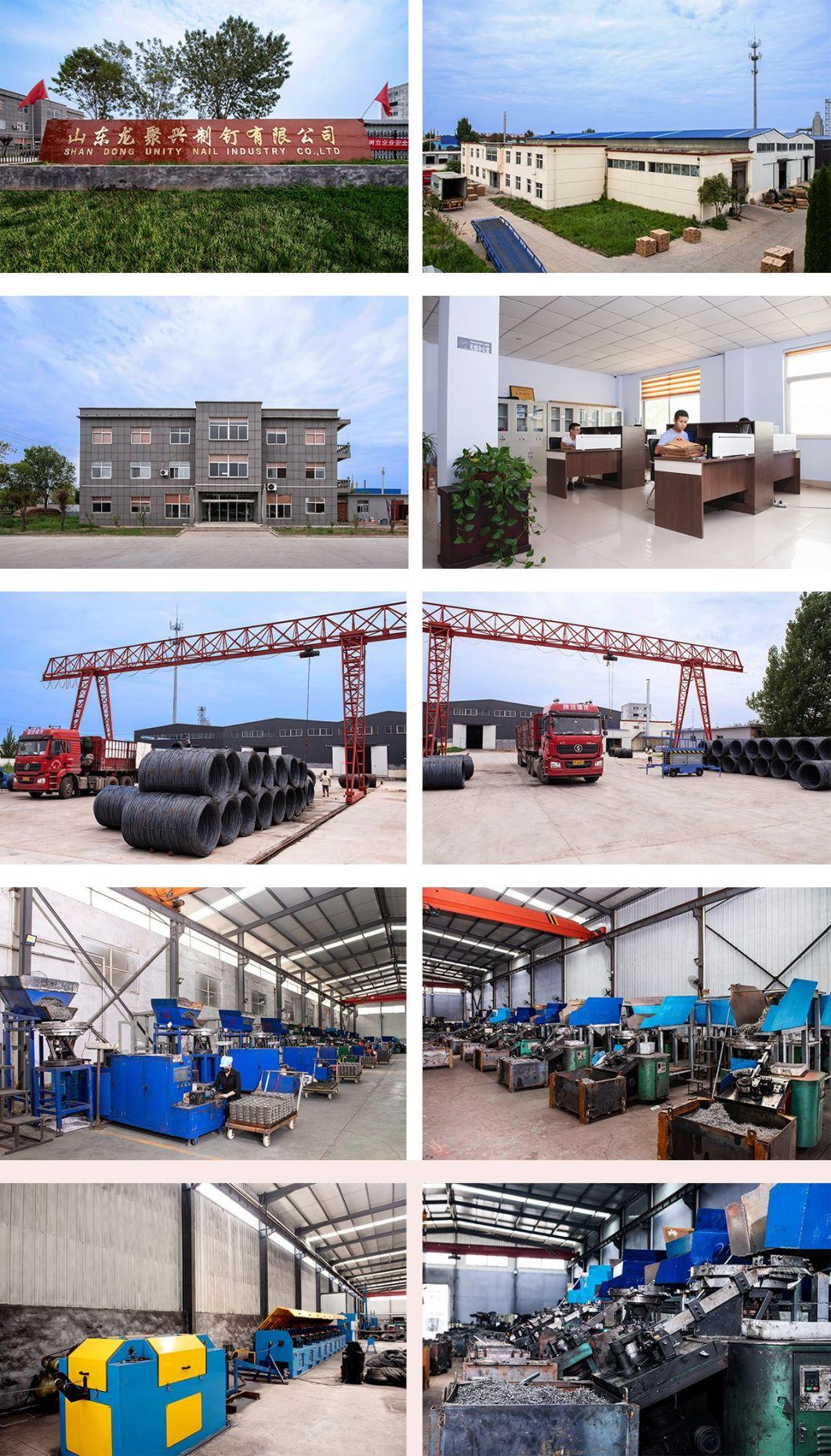 Wire Weld Coil Roofing Nail for Sale