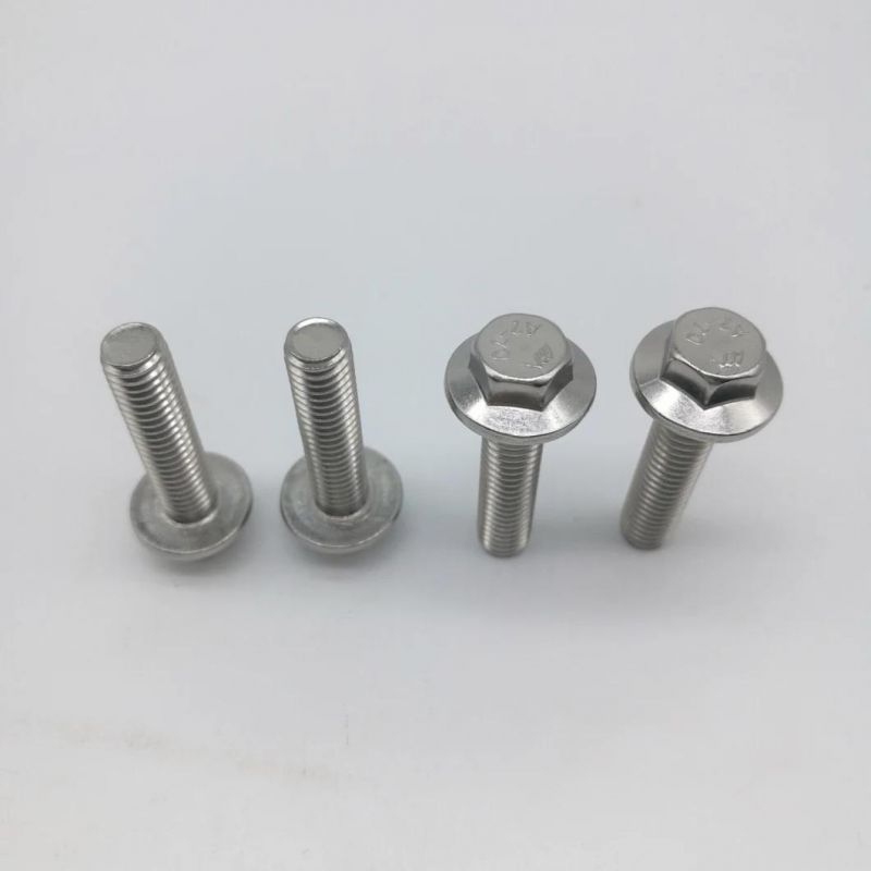 Customized Ss Hex Flange Bolt with Full Thread