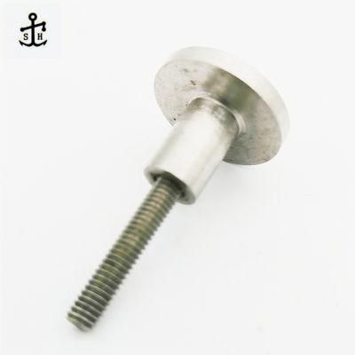 Large Flat Head Customized Stainless Steel Screw Set with Screw Made in China