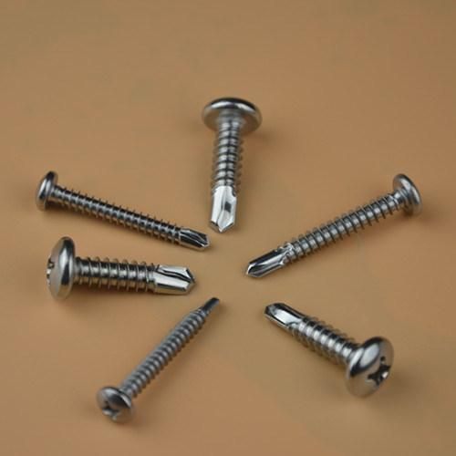 Self Drilling Screw DIN7504n Ss Self Tapping Screw Bimetal Screw