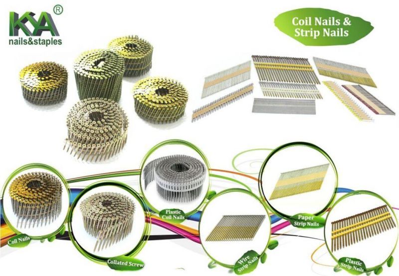 15 Degree Hot DIP Zinc Smooth Shank Wire Collated Coil Nails