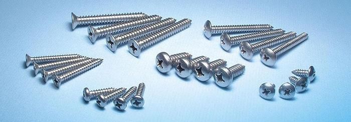 Stainless Steel 316L M4 Screw 4.0X30