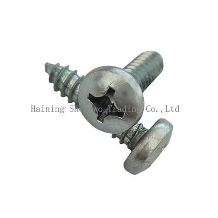 Hardware Fasteners Phillips Recess Pan Head Self Tapping Screws DIN7981