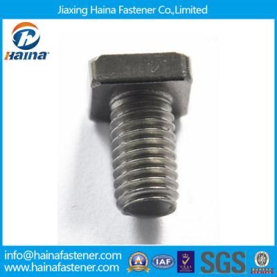 High Quality Stainless Steel T Head Square Head Bolt