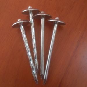 Linyi Manufacturer Eg Bwg9X2&quot; Umbrella Head Smooth Twisted Shank Roofing Nail