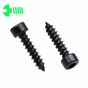 Cup Round Head Allen Key Drive Drywall Screw in Black Color