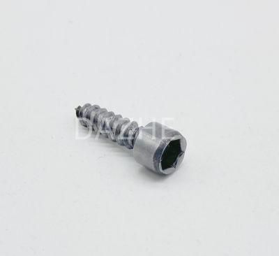 Special Screw Custom Screw