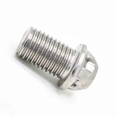 Stainless Steel 304 or 316 Custom Flange Head Screw/Customize Screw