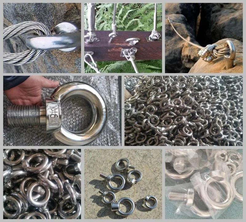 Stainless Steel 304/316 JIS1168/DIN580 Eye Bolt of Marine Hardware