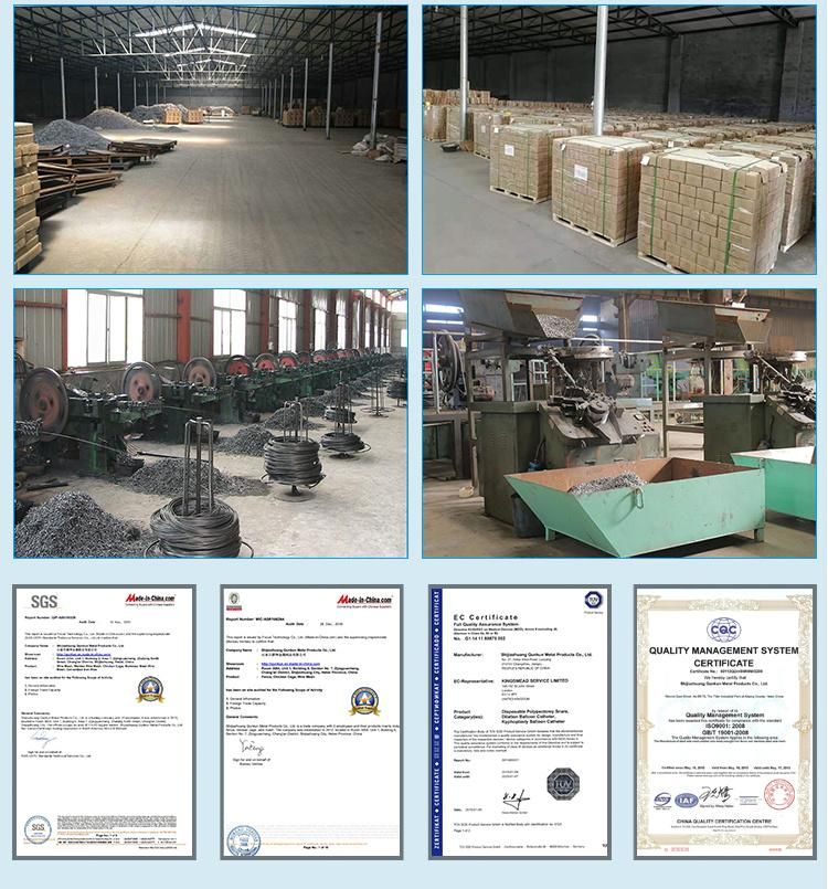 China Factory Common Wood Wire Nails with Good Price