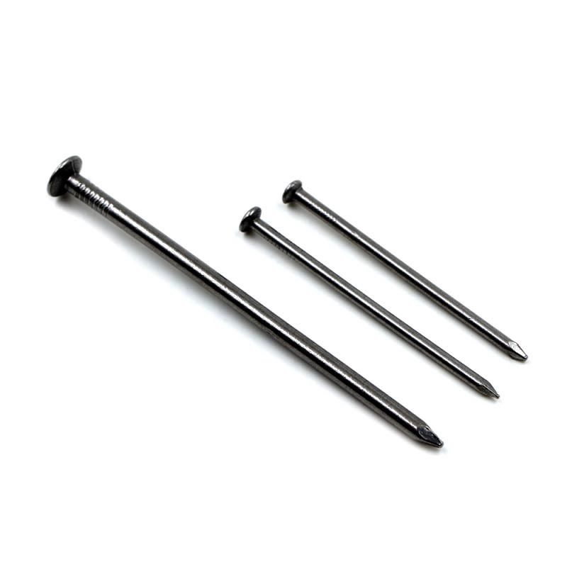 Guangzhou Common Nails Iron Wire Nails with Polished