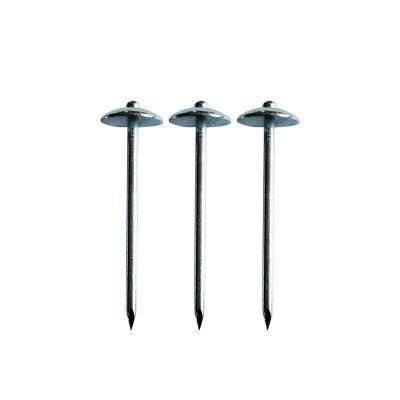 Electro Galvanized Roofing Nail Umbrella Head Zinc Roofing Nail