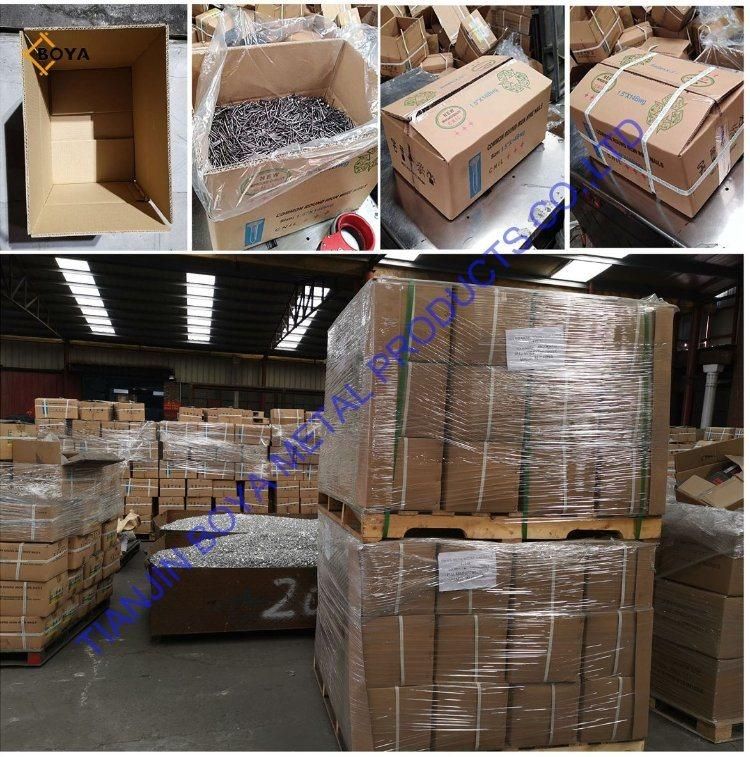 Tianjin Factory Polished 1" - 6" Common Wire Nail with Cheap Price