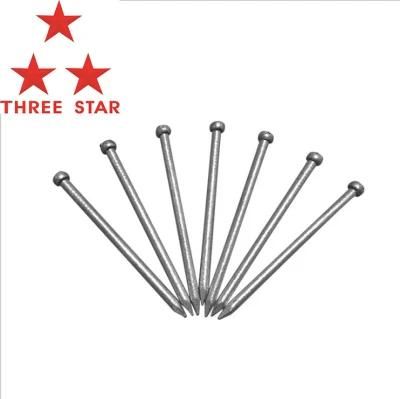 Professional Angular Spiral Steel Concrete Nails Wire Nail Suppliers