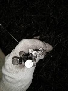 Clavos Smooth Shank Common Wire Nail Factory