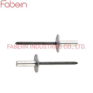 Closed End Blind Rivet Aluminum Rivet Stainless Steel Rivet