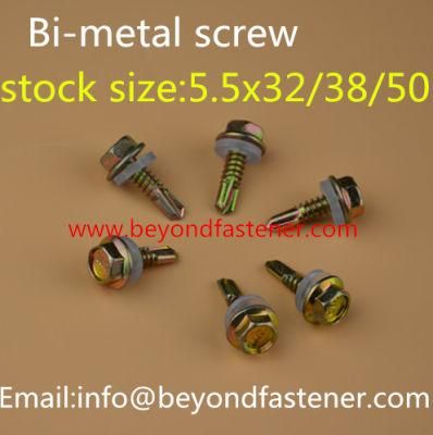 Bulding Screw