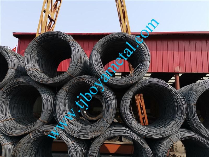 China Factory Premium Quality Building Materials Bright Polished Ring Shank Nail for Construction