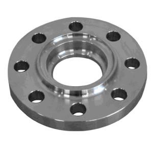 Stainless Steel Forged Flange