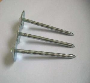 Galvanized Roofing Nail with Umbrella Head for Auto Parts