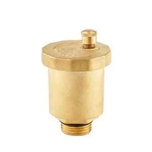 China Suppliers 2019 New Products NPT/Bsp Threaded Brass Exhaust Air Vent Valve