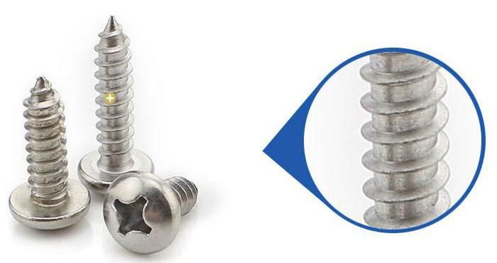 Stainless Steel 316L M4 Screw 4.0X30