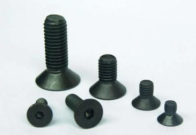 M5*25 Hexagon Socket Head Cap Screw Bolts DIN912, DIN7984, DIN6912, ISO 4762, Uni 9327, BS 2470, JIS B 1176, ASME/ANSI B 18.3, ASTM A574; GB /T 70.1-2
