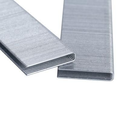 Quality Galvanized U Nail Furniture Upholstery Nail N851