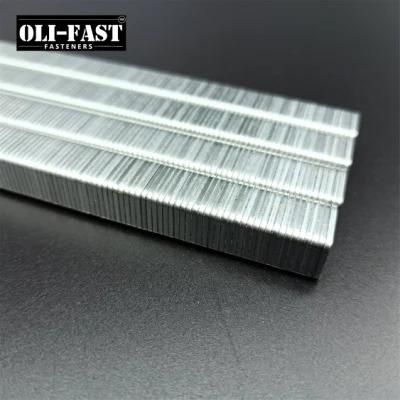 20ga 10j Series Staples Factory Manufacture with High Quality 1013j