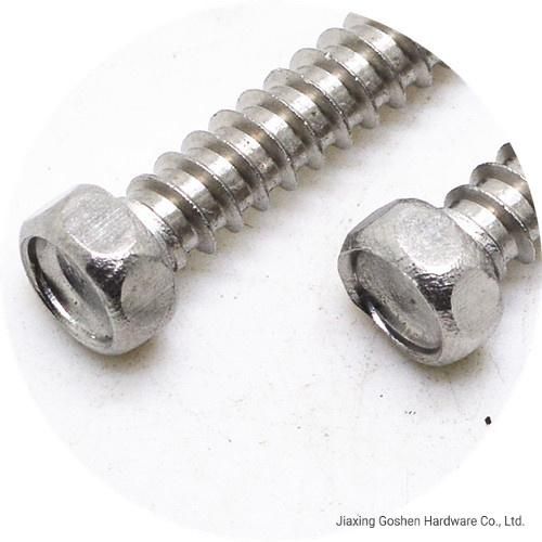 Stainless Steel DIN 7976 Hexagon Self-Tapping Screws