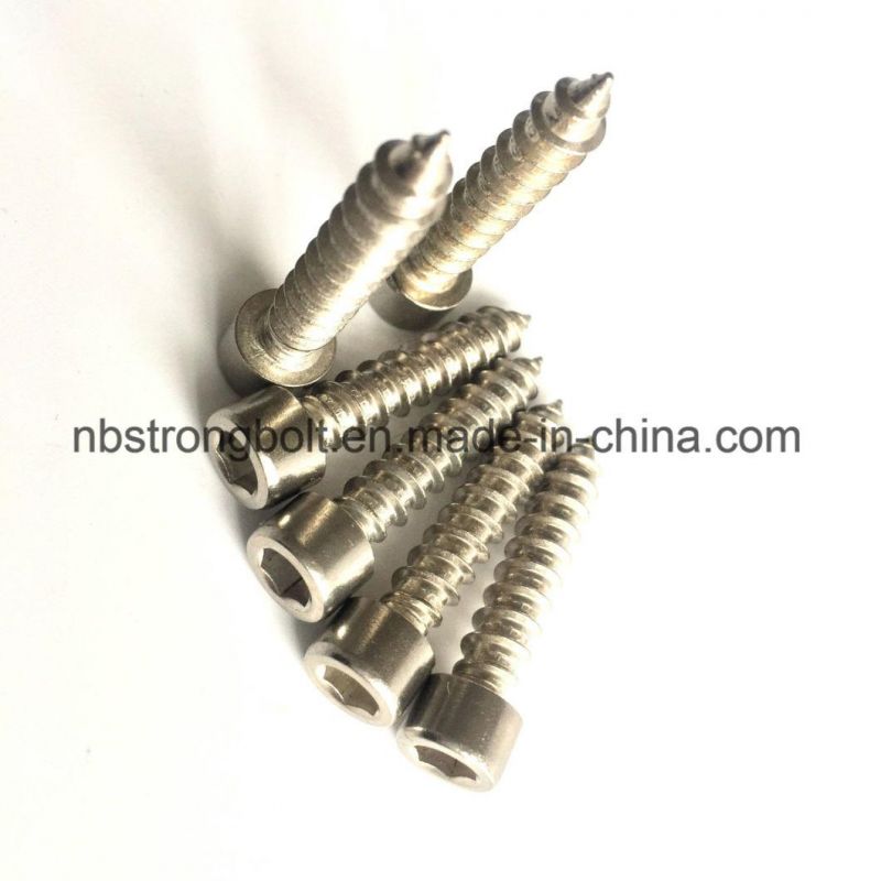 Stainless Steel Hexagon Self-Tapping Screw