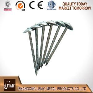 High Quality Plain and Shank Galvanized Umbrella Head Roofing Nail