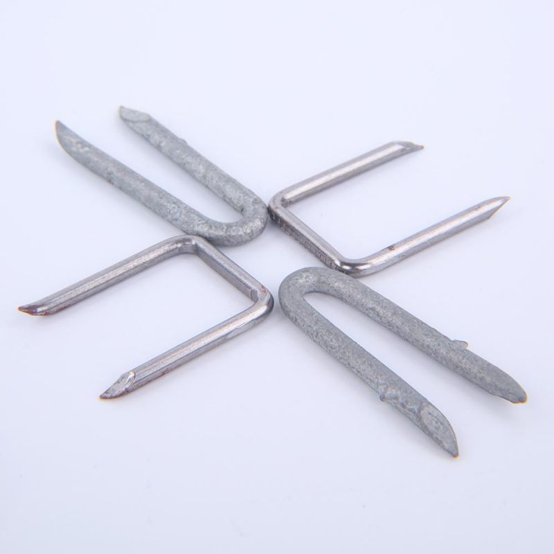 U Type Staples Nails