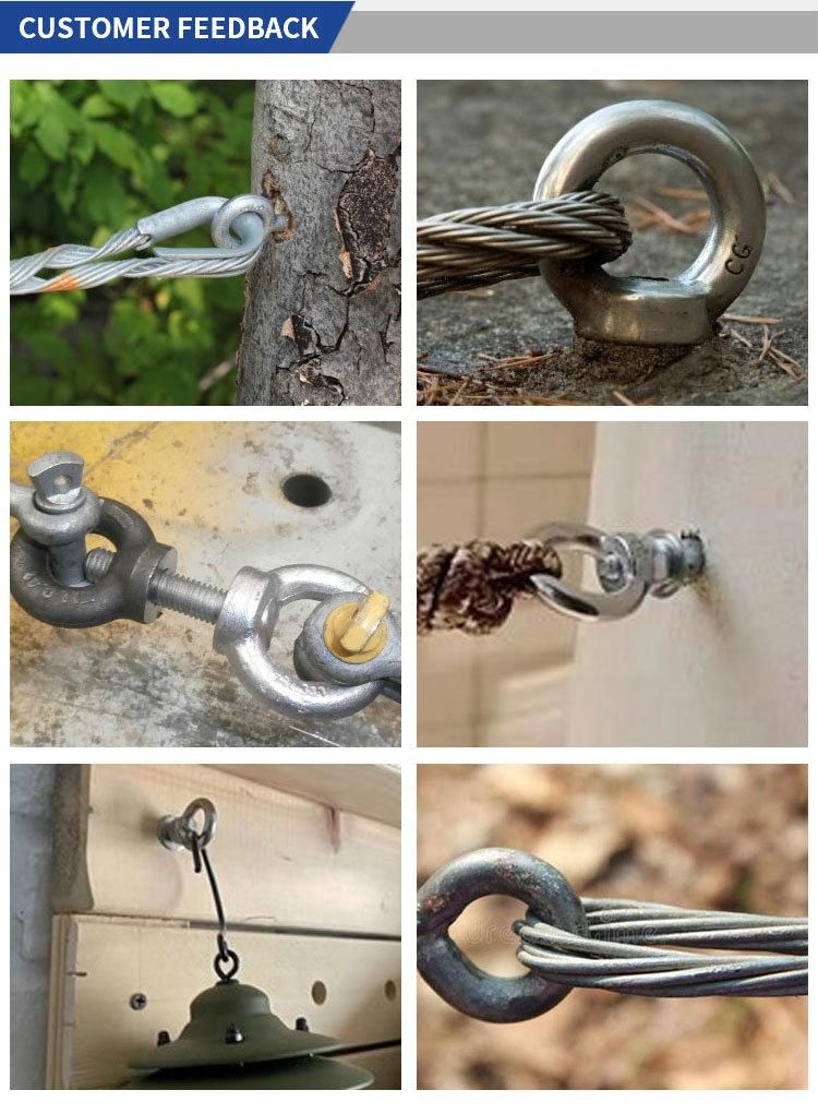 Galvanized Drop Forged DIN 580 Lifting Eye Bolt Screw
