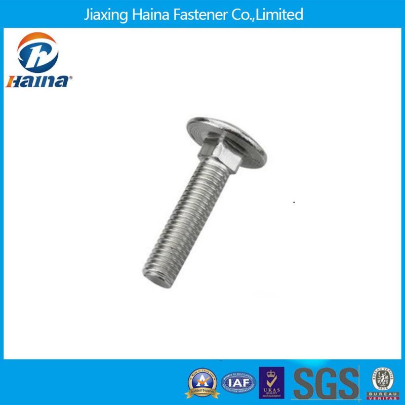 DIN603 SS304 Mushroom Head Square Neck M8 Carriage Bolt