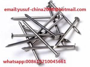 Nail China Linyi Common Iron Wood Wire Nail for Construction