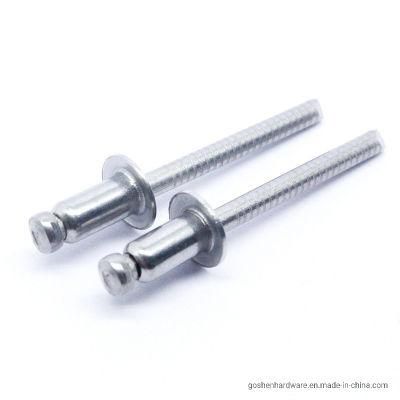 Stainless Steel 316 A4-80 St4.8*10mm Blind Rivet