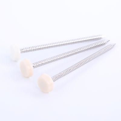 Stainless Steel Plastic Top Fascia Head Polytop Annular Ring Nails Pins