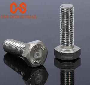 China Fastener Manufacturer DIN933 ASTM A325 Stainless Steel Hex Bolts