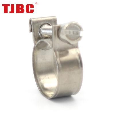 9mm Bandwidth Blue-White Zinc Plated Galvanized Iron Mini Hose Clamp, 26-28mm