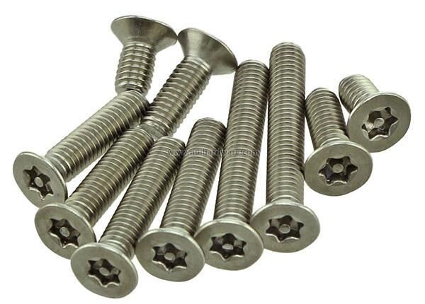 Torx Csk Head Security Machine Screw with Pin