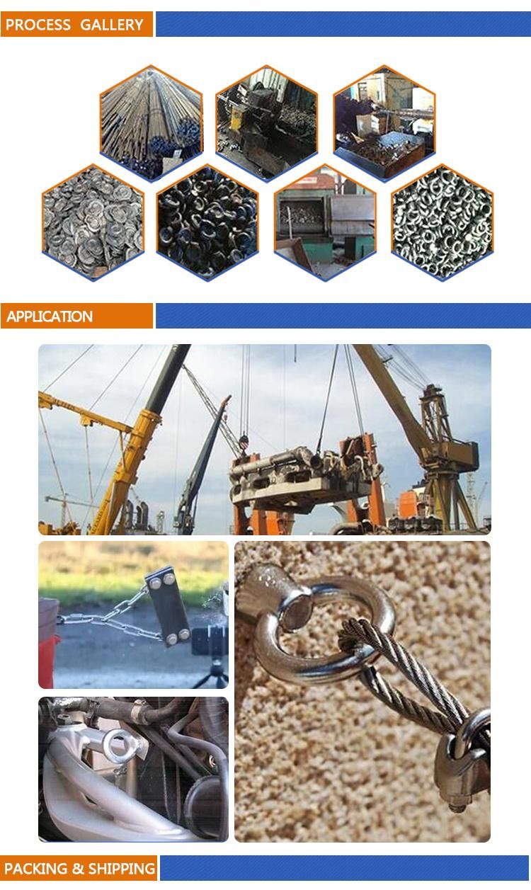 Factory Priceele-Galvanized DIN580 Eye Bolt