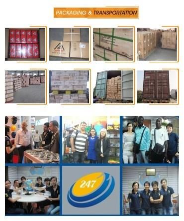 Polished Furniture Nails, Headless Nails with Factory Price