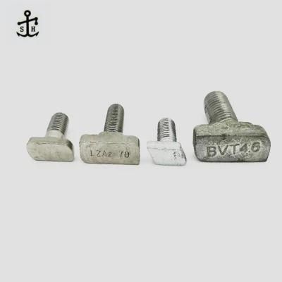 Customized Stainless Steel &Carbon Steel T Hammer Head T Screw Bolts Made in China