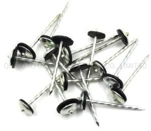 Umbrella Head Plain and Twisted Galvanized Coiled Coil Roofing Nail