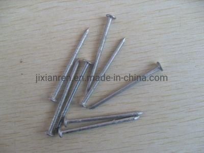 16D (2-1/2&quot;) Hot Dipped Galvanized Box Nails