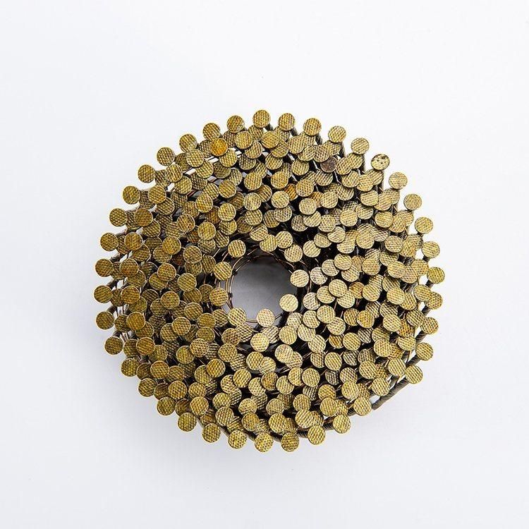 Screw Shank Coil Nail for Wooden Pallet and Frame in Size 2.5mm X 50mm