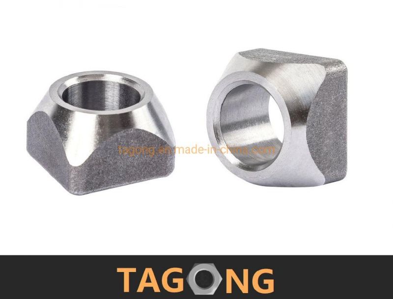 Plain M24 Class12 Single Chamfer Truck Nuts Square Nuts