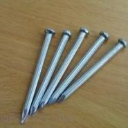Iron Nail/Metal Nail/Concrete Nail